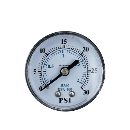 Pool Central 2 in. Back Mount Plastic Cover Pressure Gauge 0-30 PSI 32727585